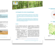 Bouquet de services écosystémiques en Hauts-de-France