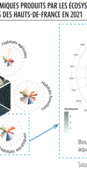 Bouquets de services écosystémiques produits par les écosystèmes agricoles, forestiers, aquatiques, marins et urbains des Hauts-de-France en 2021
