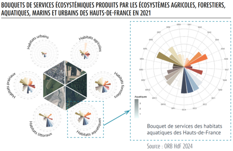 Bouquets de services écosystémiques produits par les écosystèmes agricoles, forestiers, aquatiques, marins et urbains des Hauts-de-France en 2021