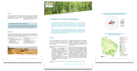 Bouquet de services écosystémiques en Hauts-de-France